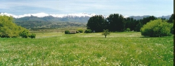 Green Farmland  with Mountains